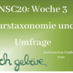 NSC20 - Woche 3