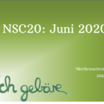 NSC20: Monatsbericht Juni