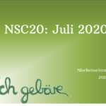 NSC20: Monatsbericht August
